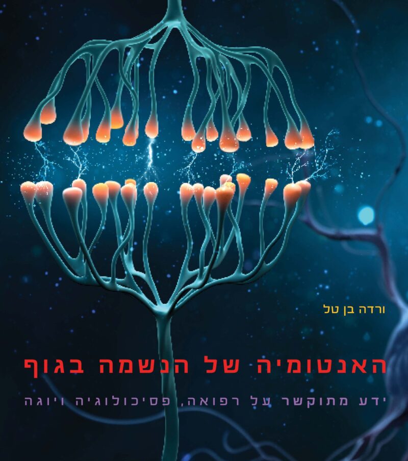 האנטומיה של הנשמה בגוף